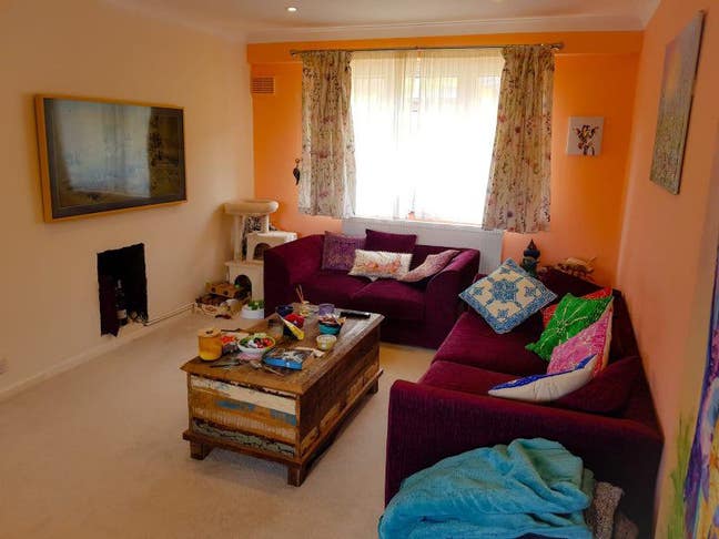 Animal lover wanted in lovely flat!  Main Photo