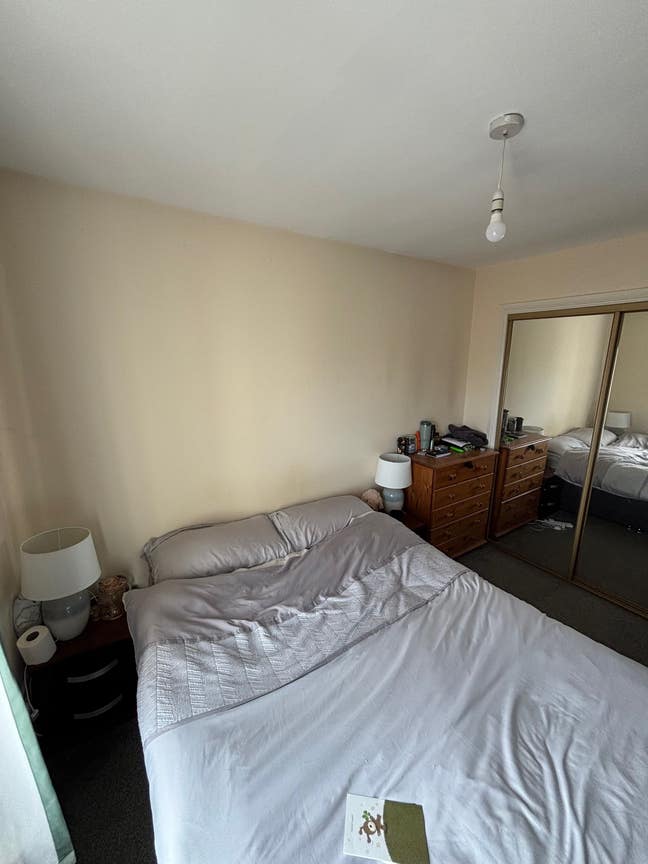 Large Double Room in West End Available! Main Photo