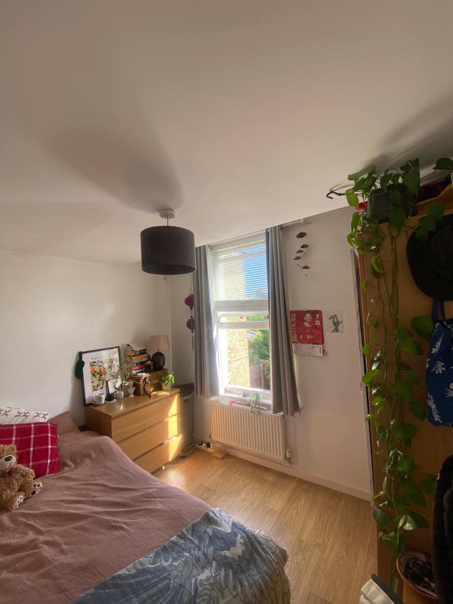 Double room available in Brixton flat with friends Main Photo