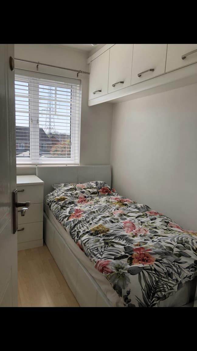 Modern Single Room Main Photo