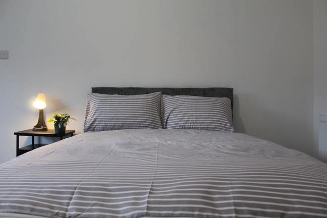 5 Furnished Rooms - No Deposit Main Photo