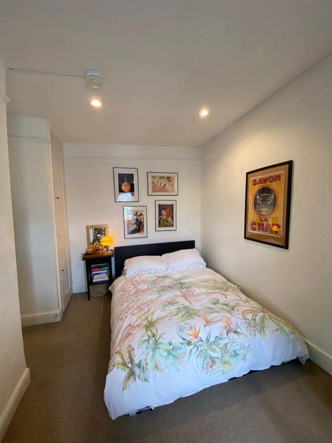 Spacious double room in Paddington  Main Photo