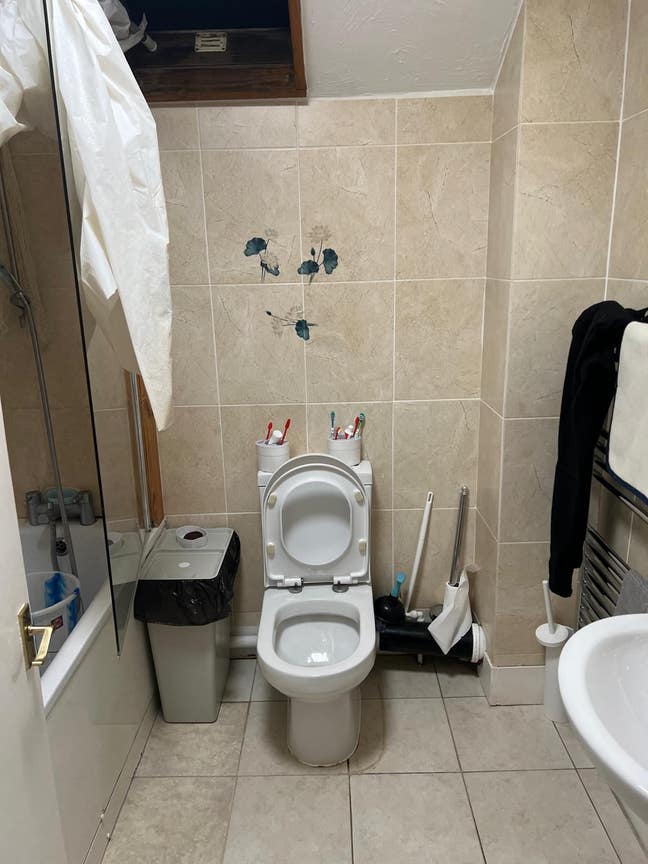 A room in a flat  Main Photo