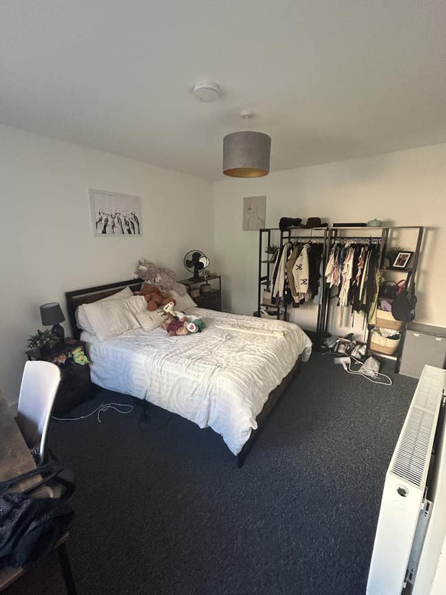 Double Room close to HSU  Main Photo