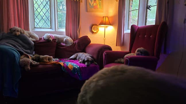 Somthing Different ! Main Photo