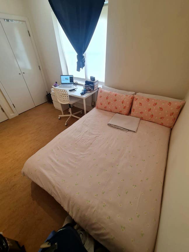 Professional En-suite Close to Green Park & A33/M4 Main Photo
