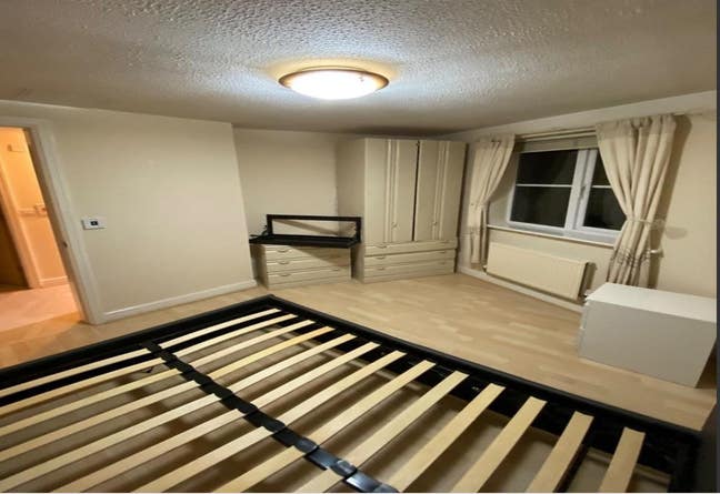Room Available in Well-Connected Flat Main Photo