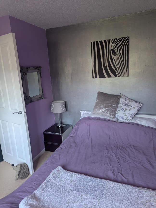 Room in dog friendly, welcoming house  Main Photo