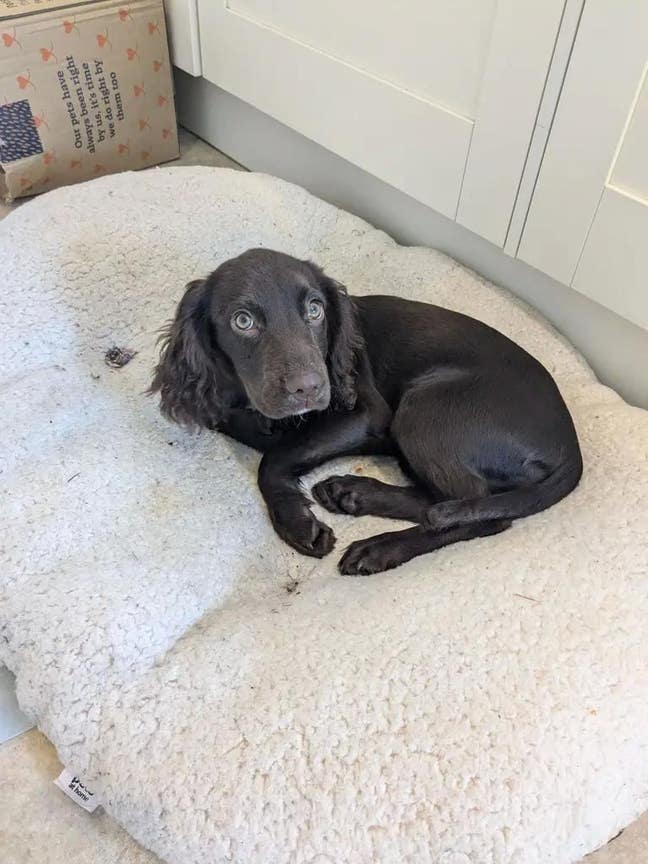 Room needed for 2 nights a week Main Photo