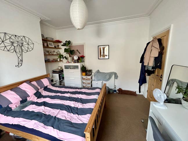 Lovely furnished double room in heart of Redfield  Main Photo