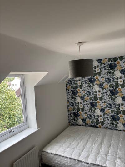Cute single room in a nice area Main Photo