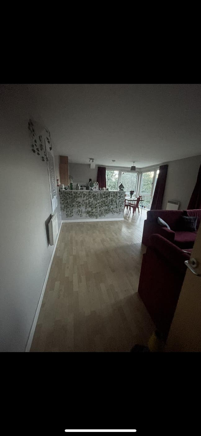 Hi I live in Mayfair court I need a flatmate  Main Photo