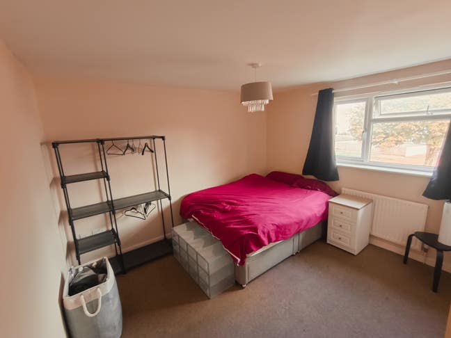 Lovely Room in Friendly House Share with Garden Main Photo