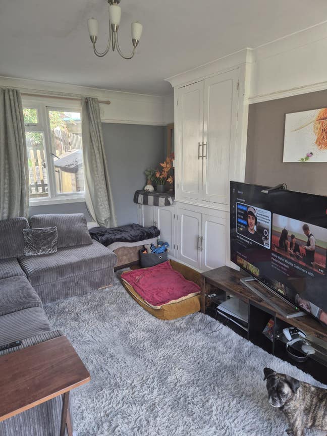 Room Available in Cozy Home with Friendly Pup  Main Photo