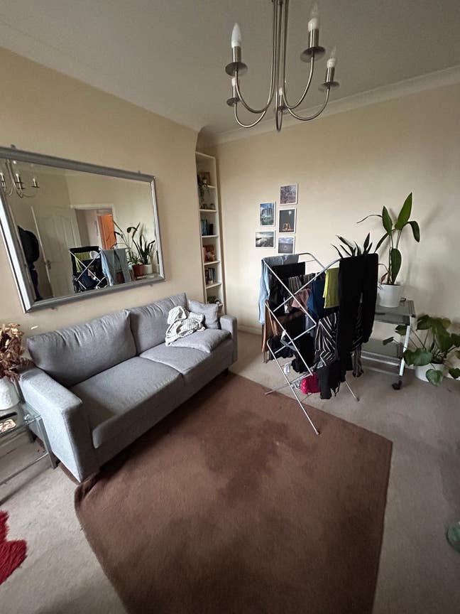 Looking for flatmate in zone 1 cosy flat  Main Photo