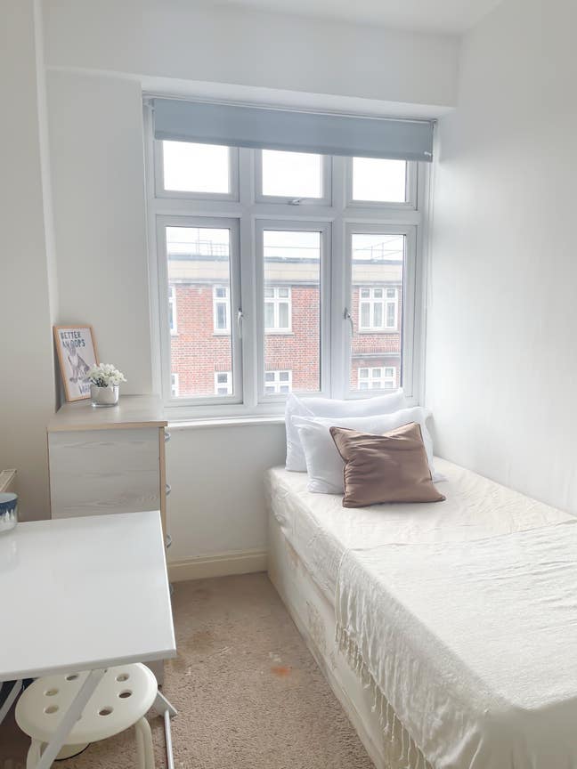Room available in St jonhs wood  Main Photo