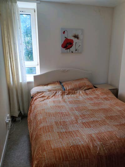 Private room near City centre  Main Photo