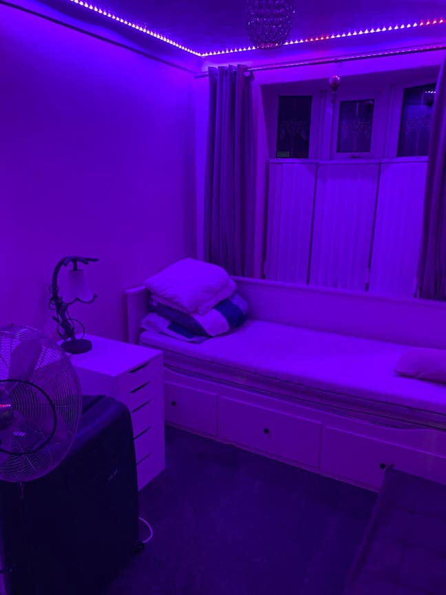 Single Room Females Only Main Photo