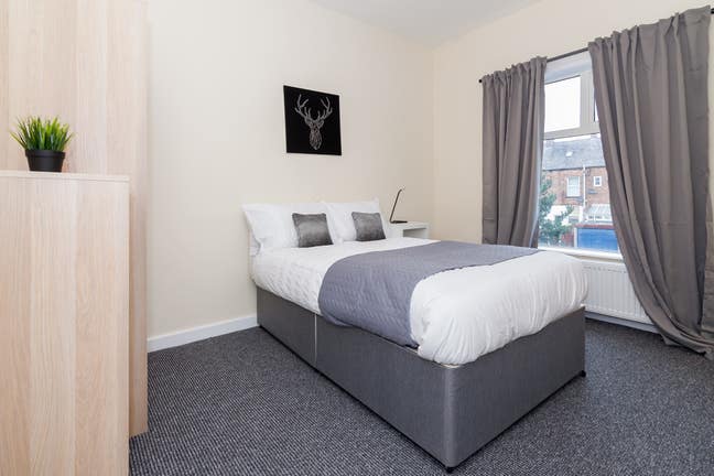 🥰🌊 EnSuite Room in Ashton Main Photo