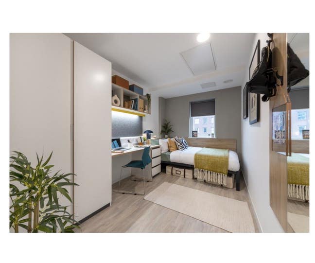  Premium Room available Altura(51 weeks) Main Photo