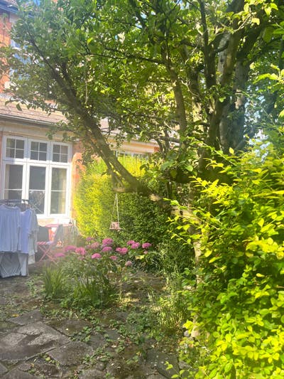 Whole house for rent for 2 people  Main Photo