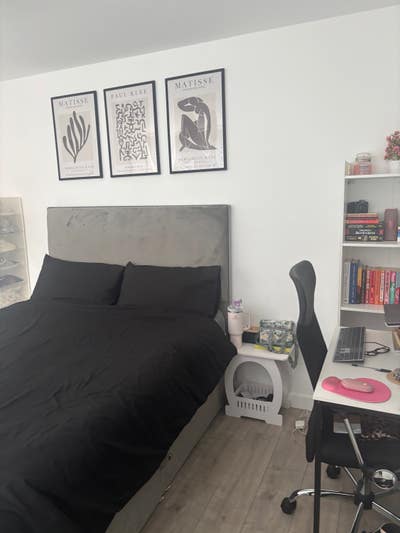 Lovely En-suite Room available  Main Photo