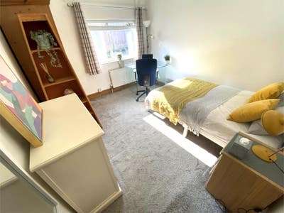 Lovely Double Close to Falmer *Bills inc *Parking Main Photo