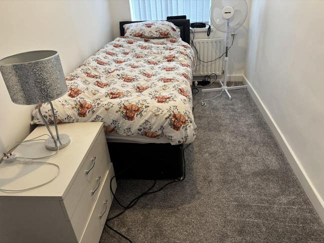 Single room to rent in a friendly environment.  Main Photo
