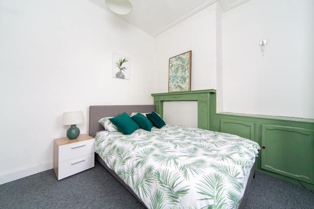 New Single room in house share Main Photo