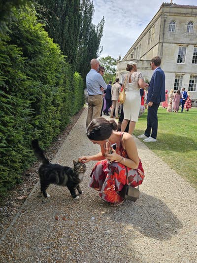 Looking for room or buddy up in Bristol Main Photo