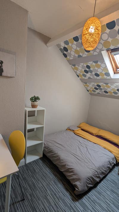 Single room in BT13 Main Photo