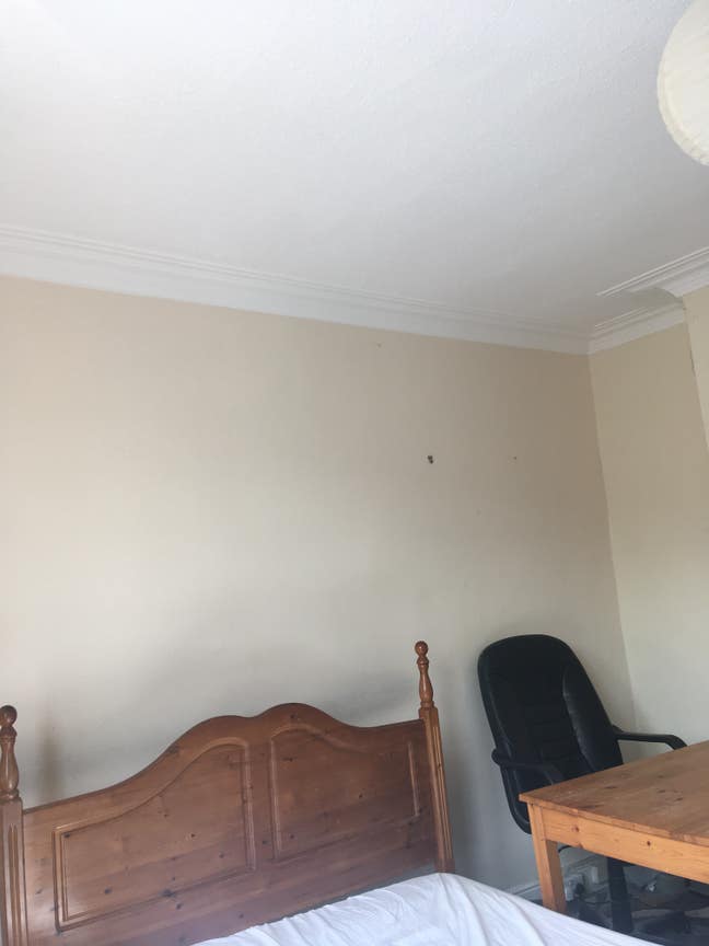 Room available in 3-bed shared house in Chapel All Main Photo