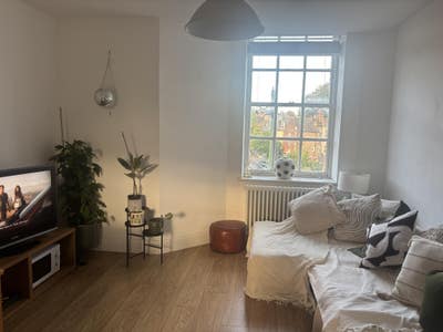Room available 15 min walk from Brockwell Park!  Main Photo