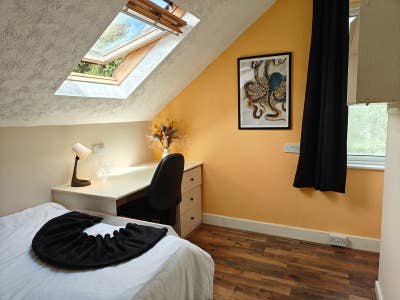 ☀️Peaceful freshly refurbed professional room☀️ Main Photo