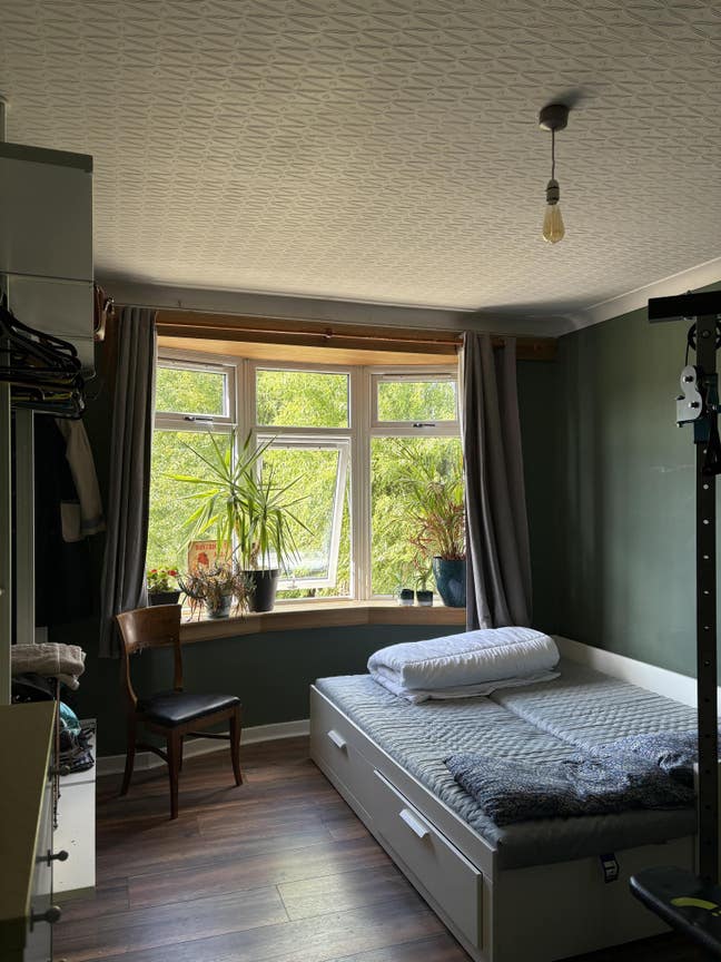 Double room in garden flat  Main Photo