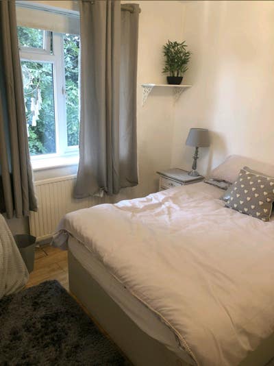 Lovely double room friendly household Main Photo