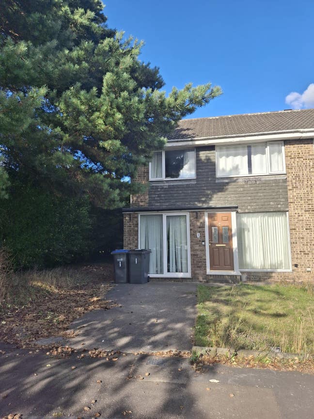 2 Spacious Double Rooms Available  Main Photo