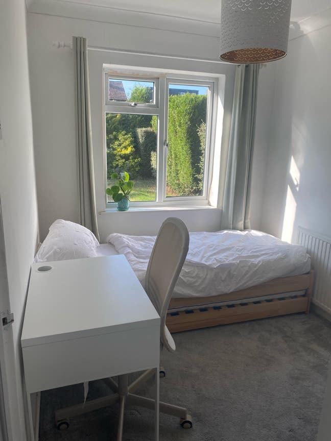 Sunny single room close to hospital  Main Photo