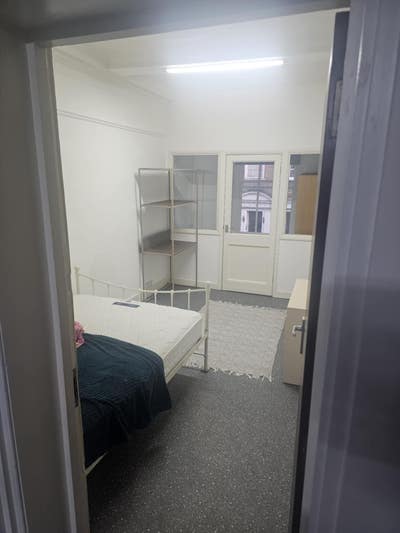 Double room close to town in peaceful flatshare  Main Photo