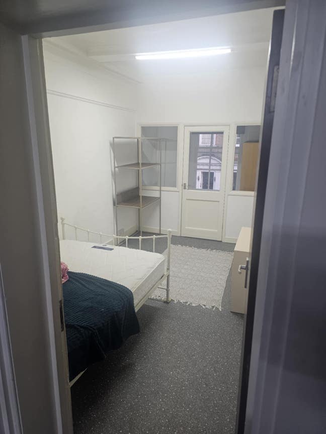 Double room close to town in peaceful flatshare  Main Photo