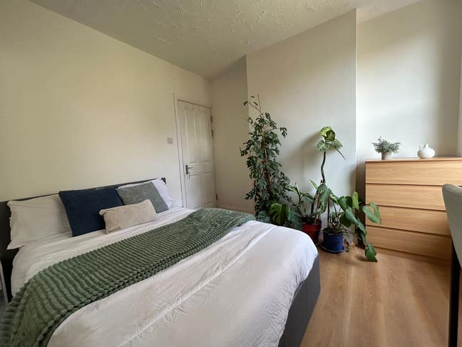 Cosy new Room for COUPLES  Main Photo