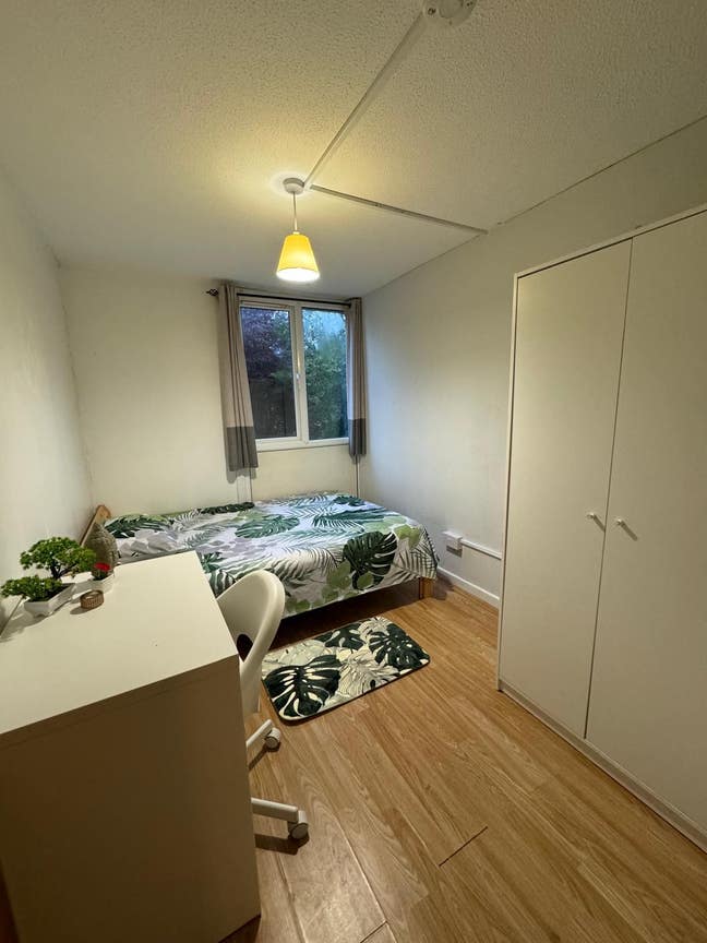 Lovely Room in Wood Green! Main Photo