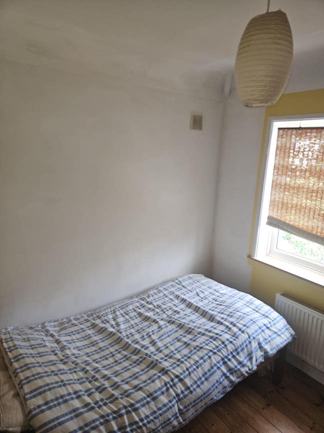 Single room available sept 2025  Main Photo