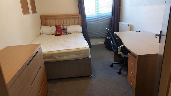 NEW - One double student room - available now Main Photo