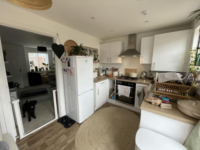 Single room in lovely sunny house  Main Photo