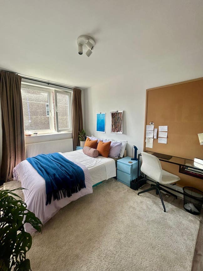 Double room in a lovely 2-bed by Hackney Central Main Photo