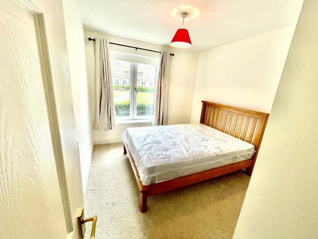 2B2B Apartment- short-term roommate wanted Main Photo