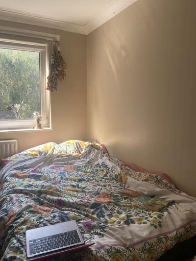 Cute room in Sydenham flat LGBT+ household  Main Photo