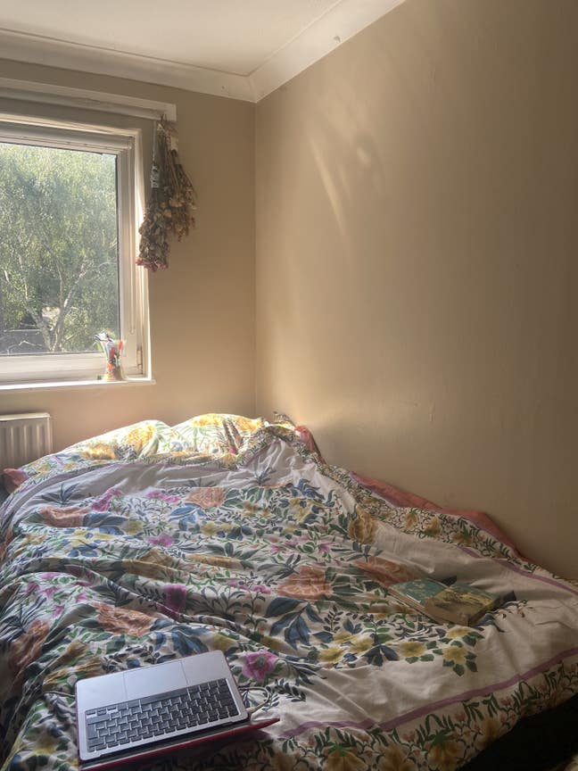 Cute room in Sydenham flat LGBT+ household  Main Photo