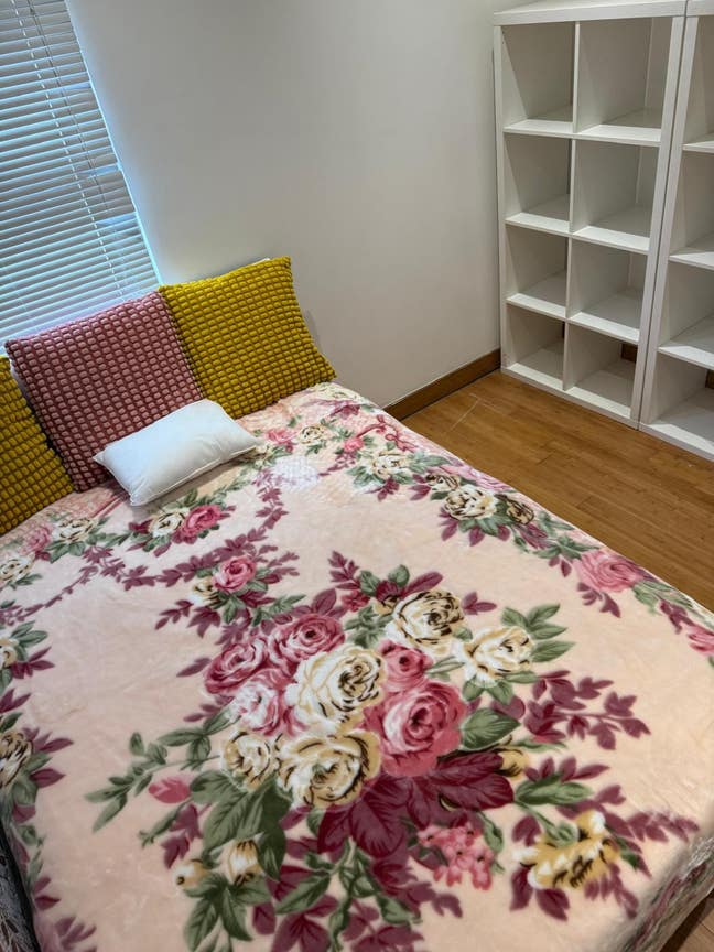 Double room to rent in a lovely clean house  Main Photo